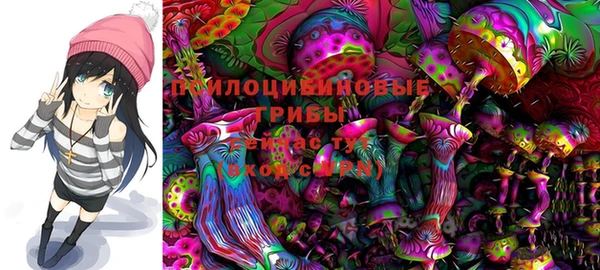 PSILOCYBIN Алзамай