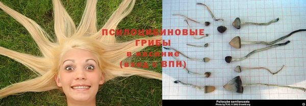 кокс Покровск