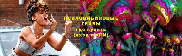 PSILOCYBIN Алзамай