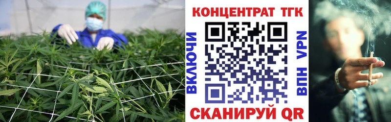 Дистиллят ТГК Wax Лесной