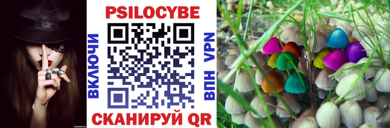Галлюциногенные грибы Magic Shrooms  Лесной 