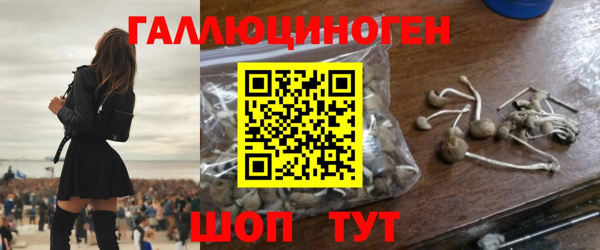 Лесной  Псилоцибиновые грибы прущие грибы  наркотики  Вход с VPN 